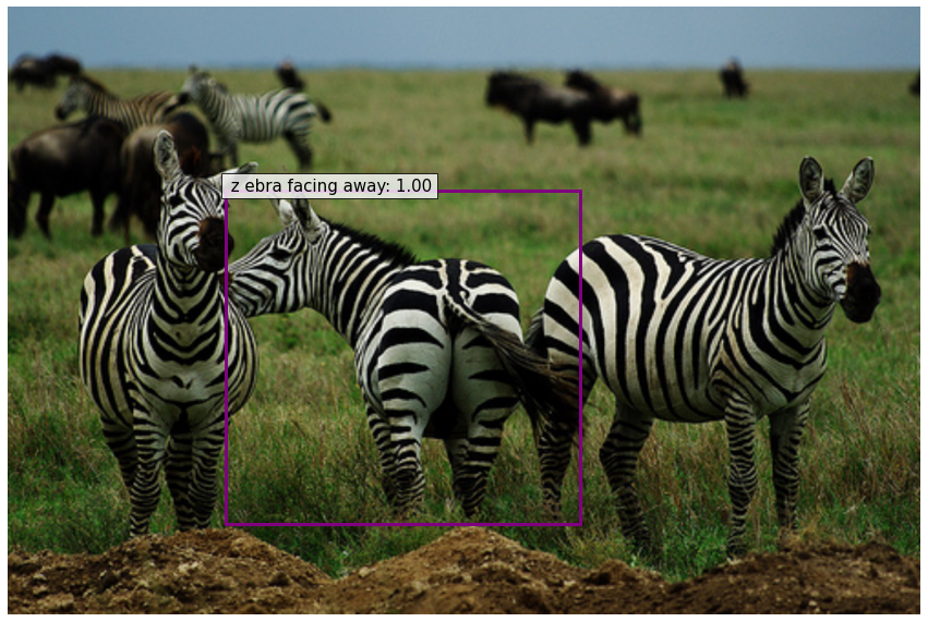 zebra facing away